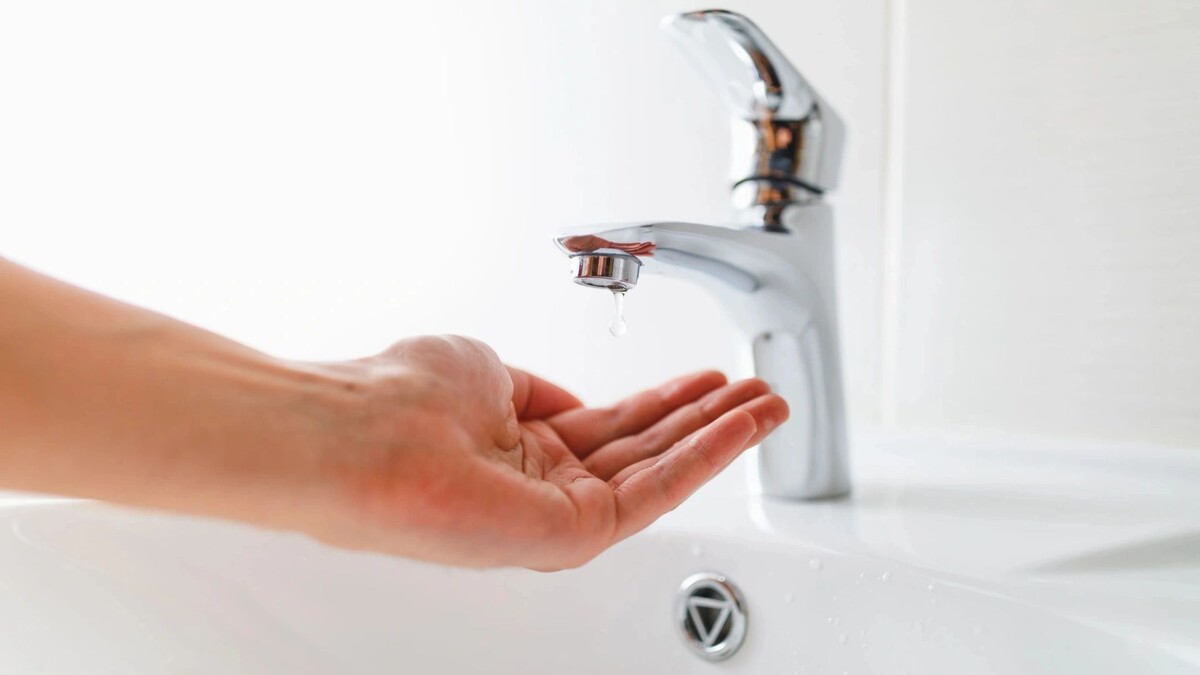    Фото: nikkytok/Shutterstock/Fotodom