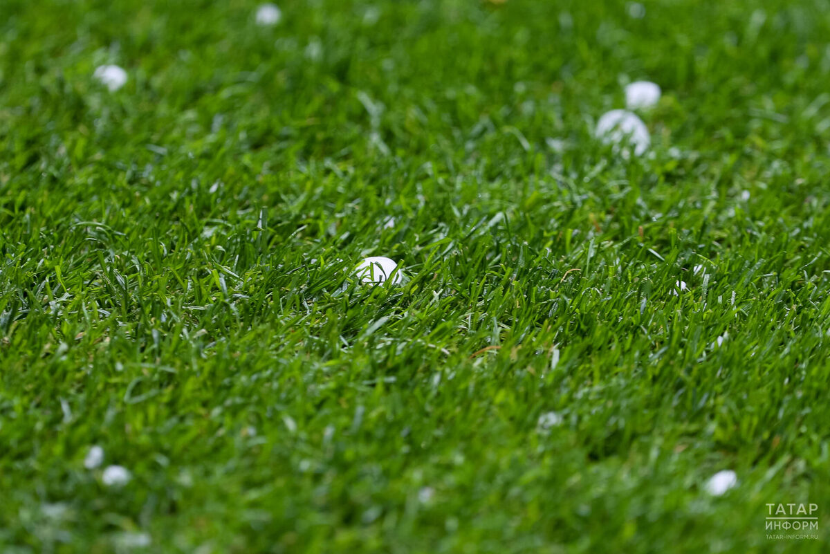 Фото: © «Татар-информ»