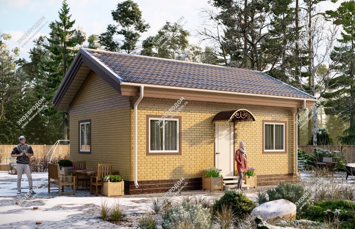 Проект "Сноу"