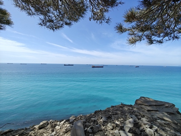    Фото: Юрий Серебренников/BFM Кубань