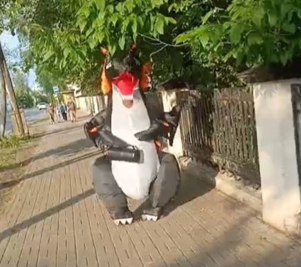 Дракон в Ростве Великом. Фото сына автора.