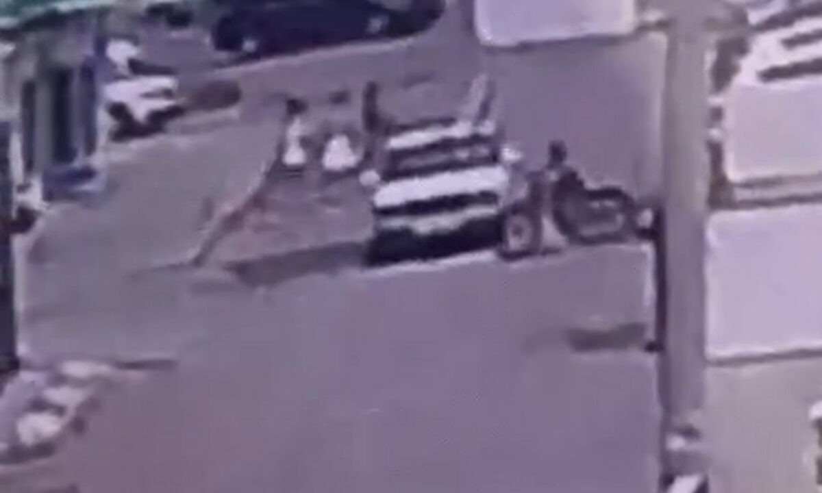    Фото t.me/gibdd123region