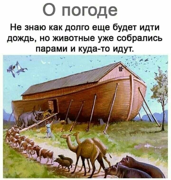 -24