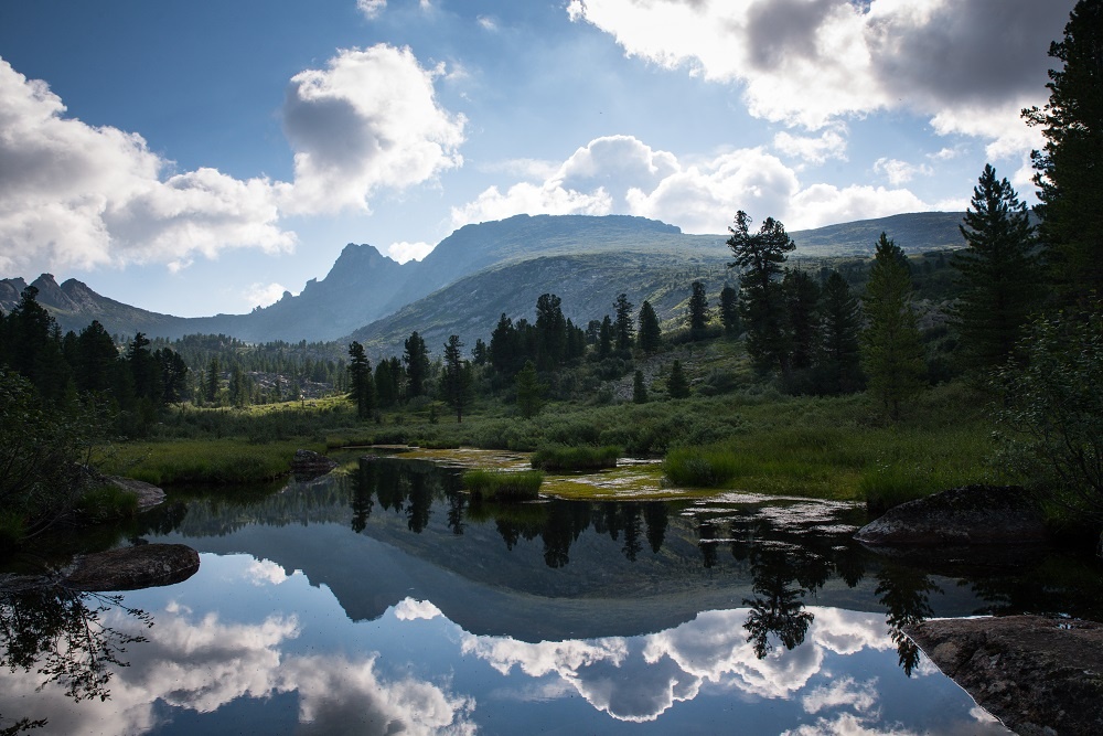 Фото: Александр Манзюк/ТАСС