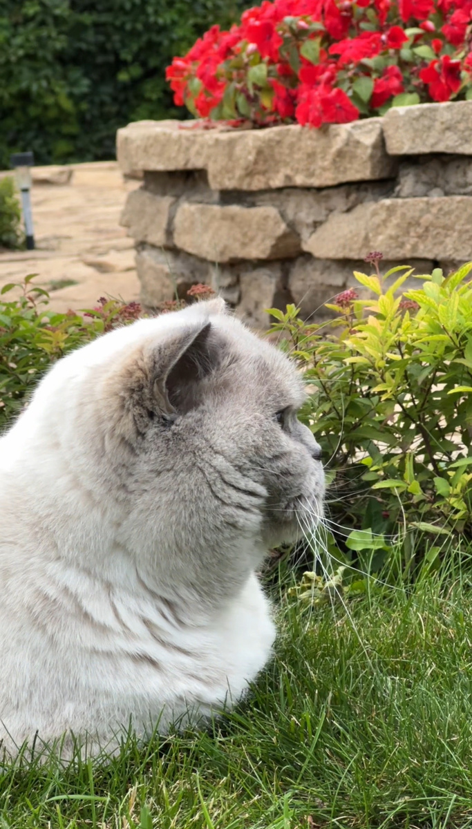 Рита-Ритулька