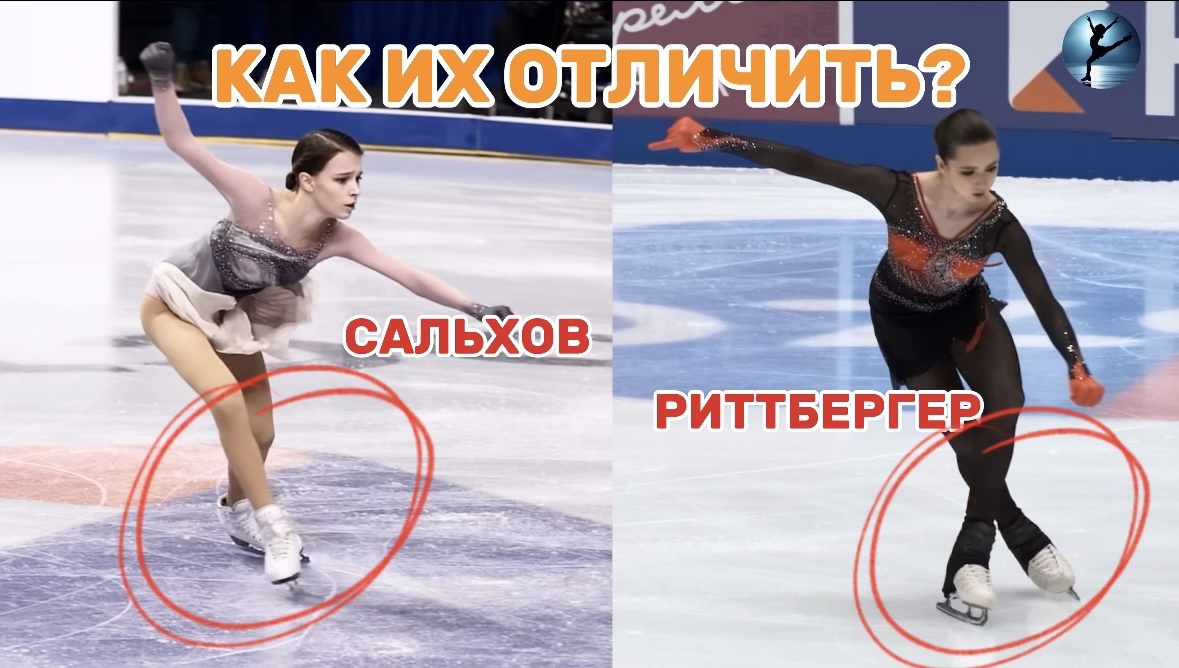 Как отличить сальхов от риттбергера?