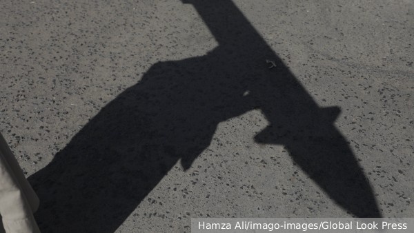     Фото: Hamza Ali/imago-images/Global Look Press   
 Текст: Валерия Городецкая