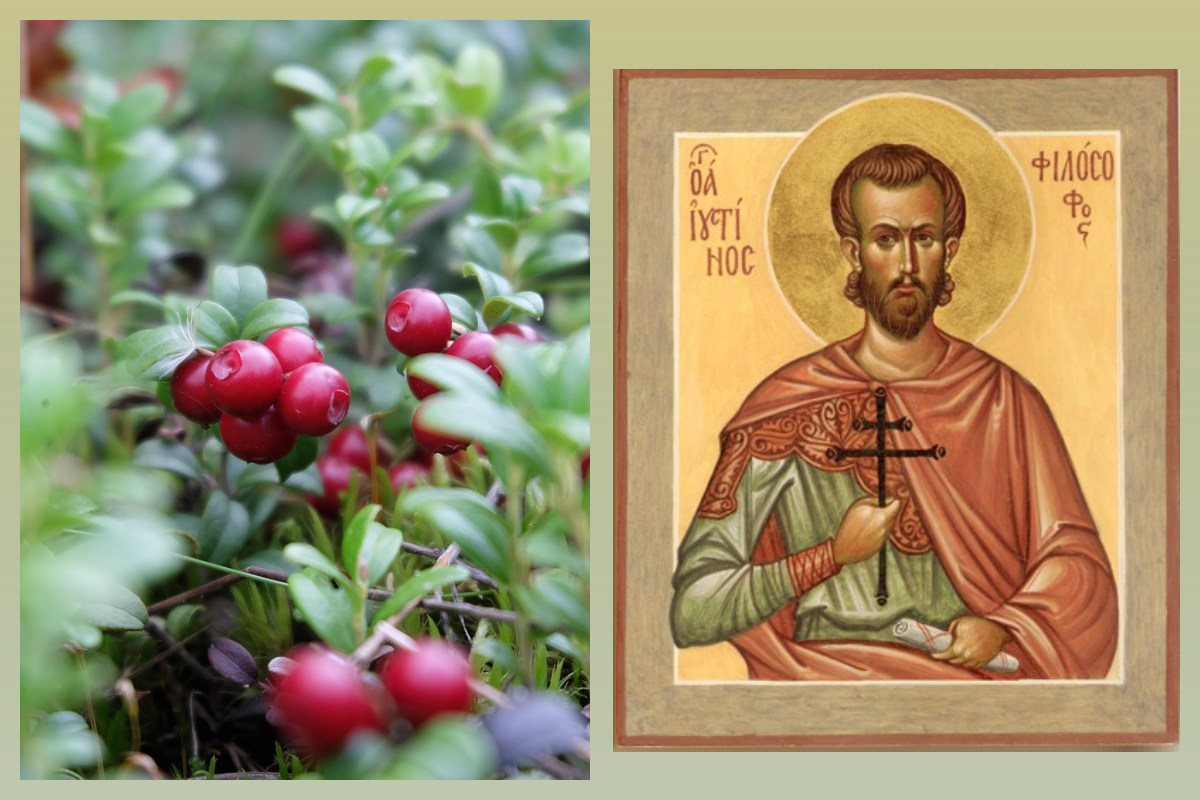 Иустин Философ. Римский/azbuka.ru, Брусника/pixabay.com