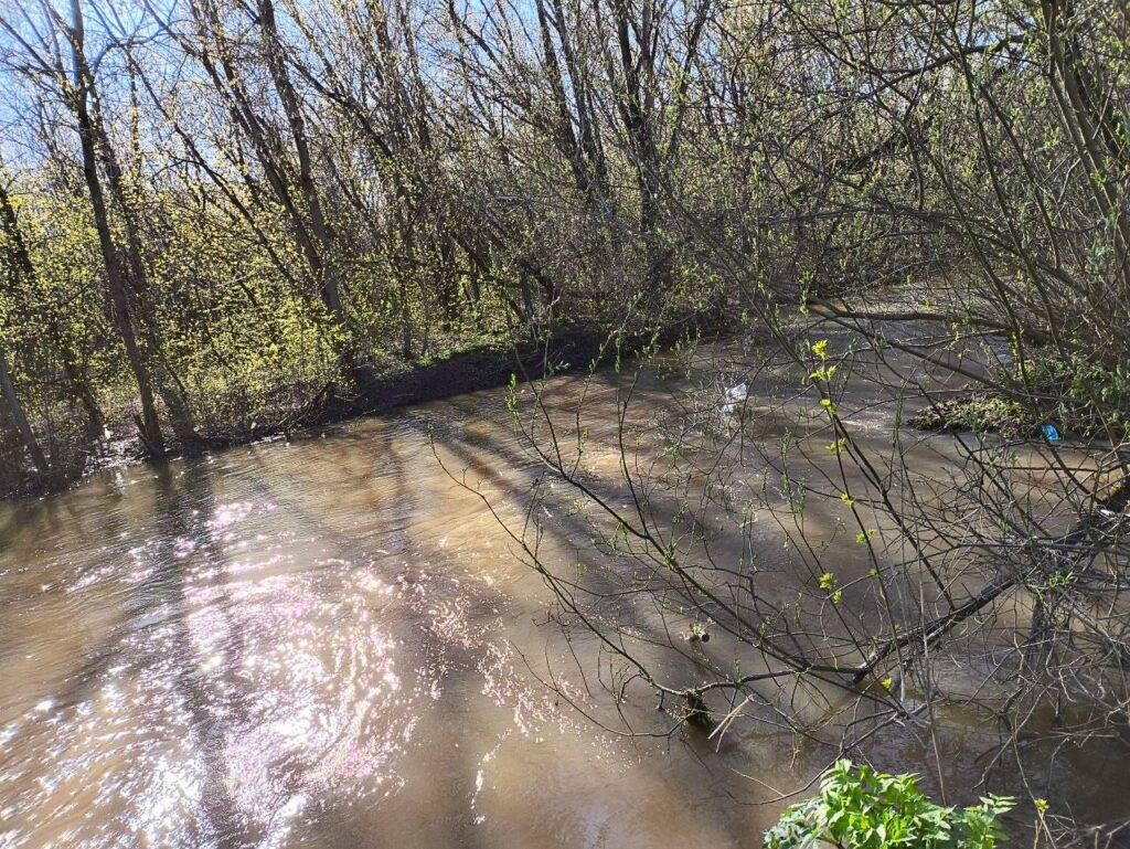    Фото: В курсе.ру Ольга Гилёва