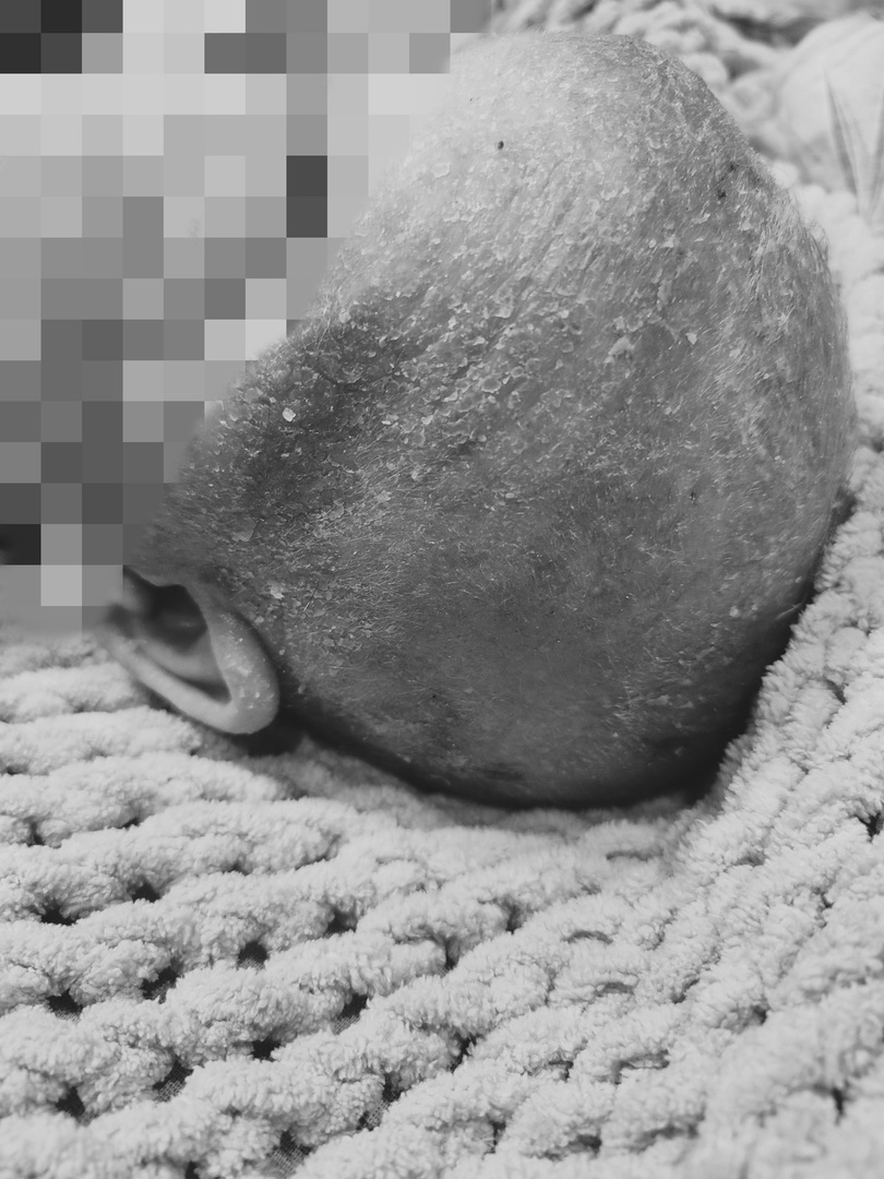 фото автора➡➡➡листайте дальше