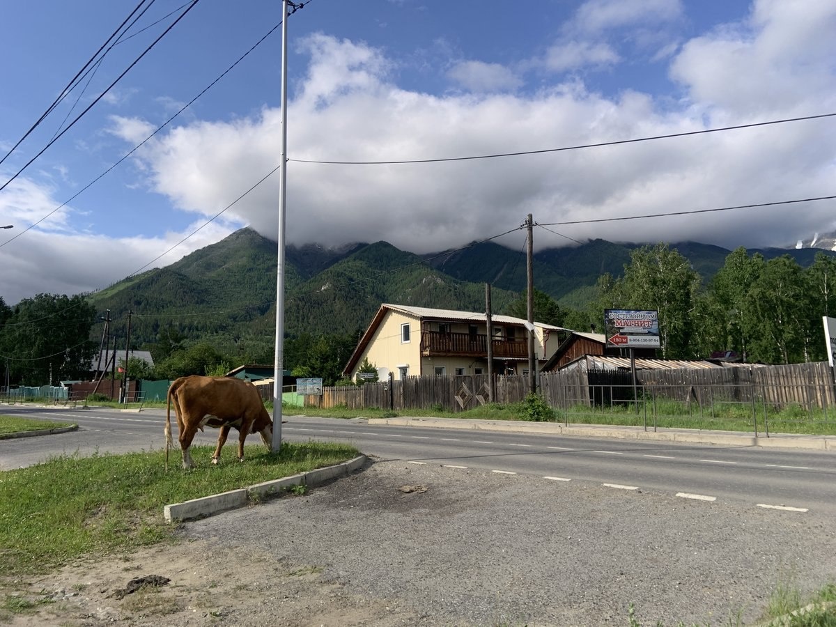 Вид на горы из поселка Аршан