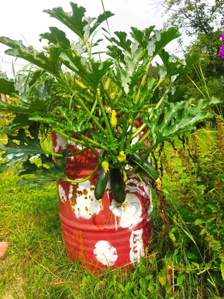 Фото 2023 года