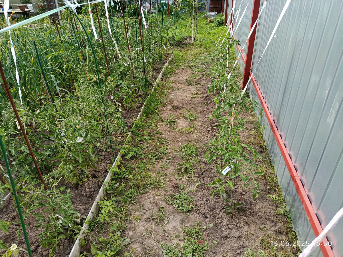 Прополола как смогла 🤷