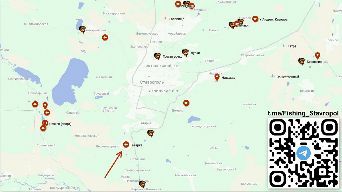 Платная рыбалка, водоем "Татарка"