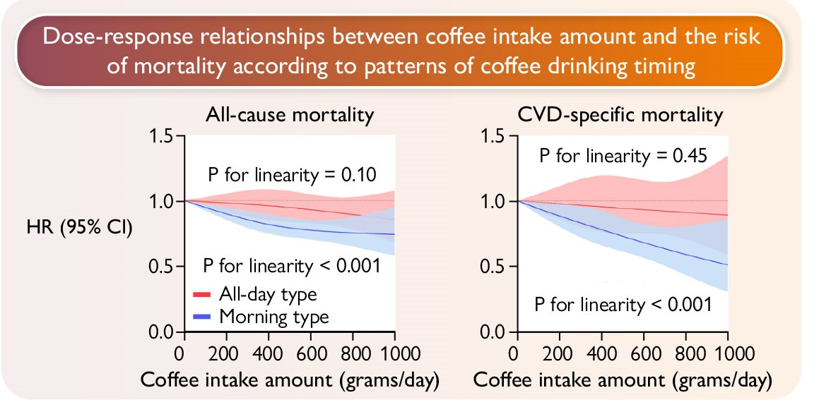 Зависимость «доза-реакция» между количеством потребляемого кофе и риском смертности в соответствии с моделями времени употребления кофе. Модели скорректированы с учетом возраста, пола, расы и этнической принадлежности, семейного дохода, уровня образования, индекса массы тела, диабета, гипертонии, высокого уровня холестерина, статуса курения, времени отказа от курения, физической активности, индекса альтернативного здорового питания, общего потребления калорий, потребления чая, потребления кофеинсодержащей газировки, процента потребления декафа, короткой продолжительности сна и проблем со сном. HR, отношение рисков; CI, доверительный интервал; CVD, сердечно-сосудистые заболевания.  Источник European Heart Journal