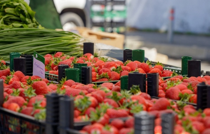    администрация Краснодара