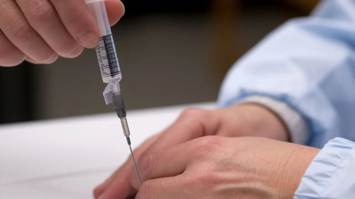    Сгенерировано ИИ