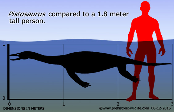 Пистозавр по сравнению с человеком.