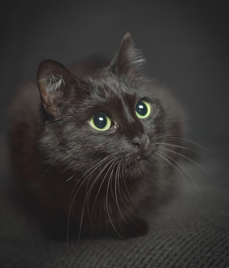 Я люблю число 13!