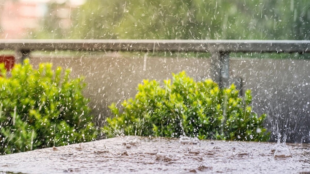    Фото: Ugis Riba / Shutterstock / Fotodom