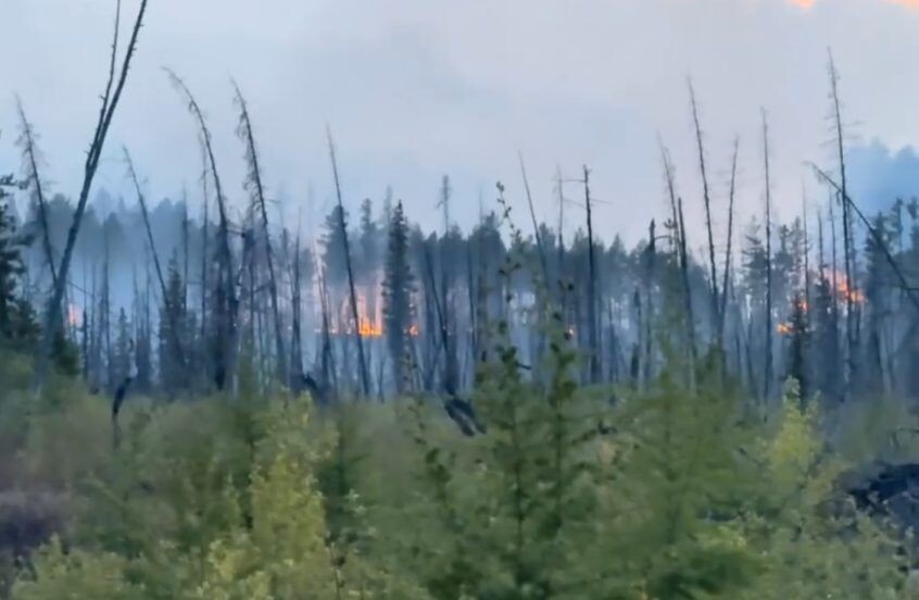    Фото: Telegram-канал Александра Осипова