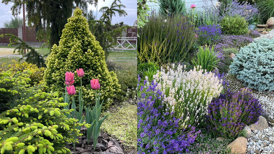 Соцсети блогера pinacolada_garden