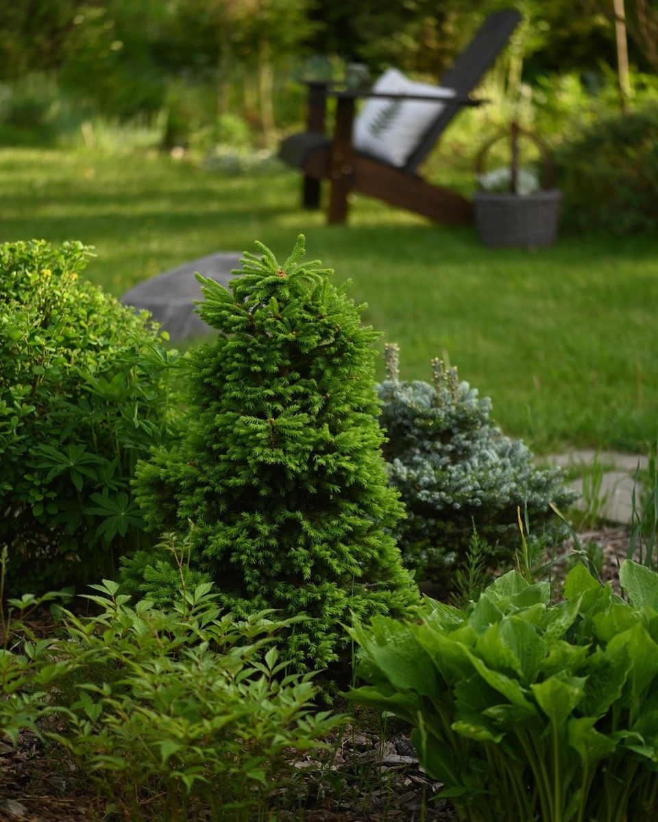    Соцсети блогера dachnye_istorii