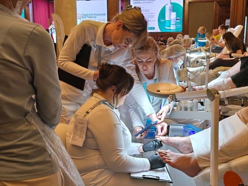 Проверка работ конкурсантов 7-го чемпионата Золотое сечение. Судья Стельмакова.