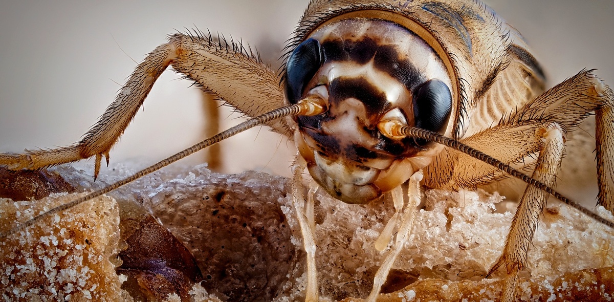 Фото: Holger Kirk/Shutterstock