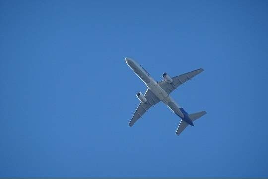    Брошенную матерью в турецком аэропорту новорождённую привезли в Подмосковье