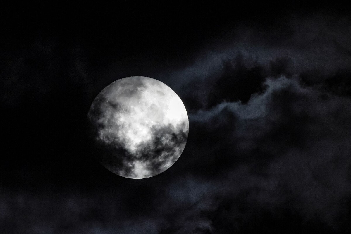     / Источник: © ИЗВЕСТИЯ/Сергей Лантюхов