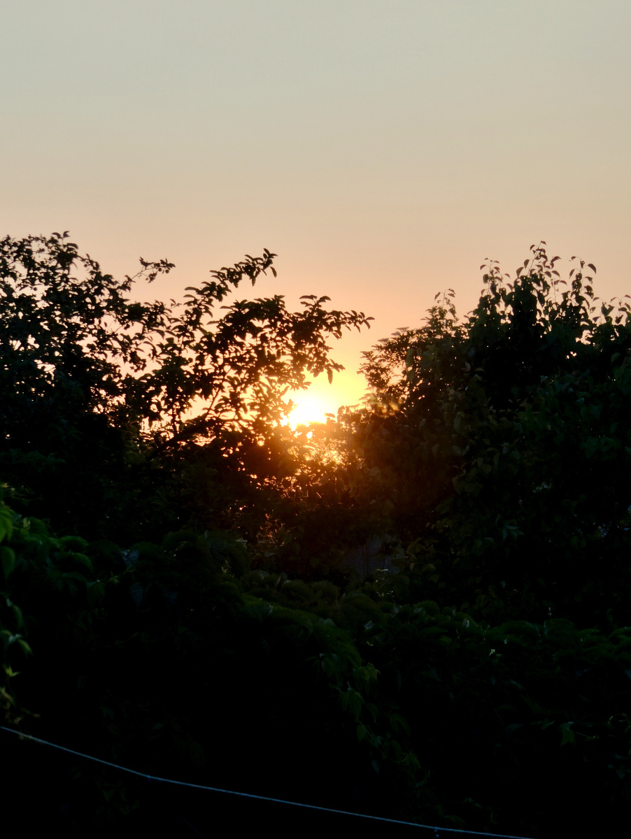 Раннее утро