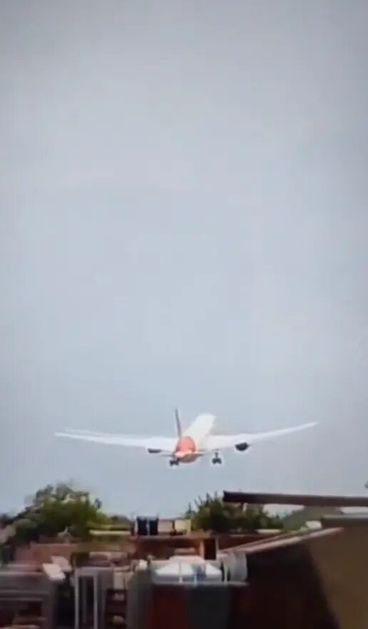    Фото: скриншот видео из соцсетей