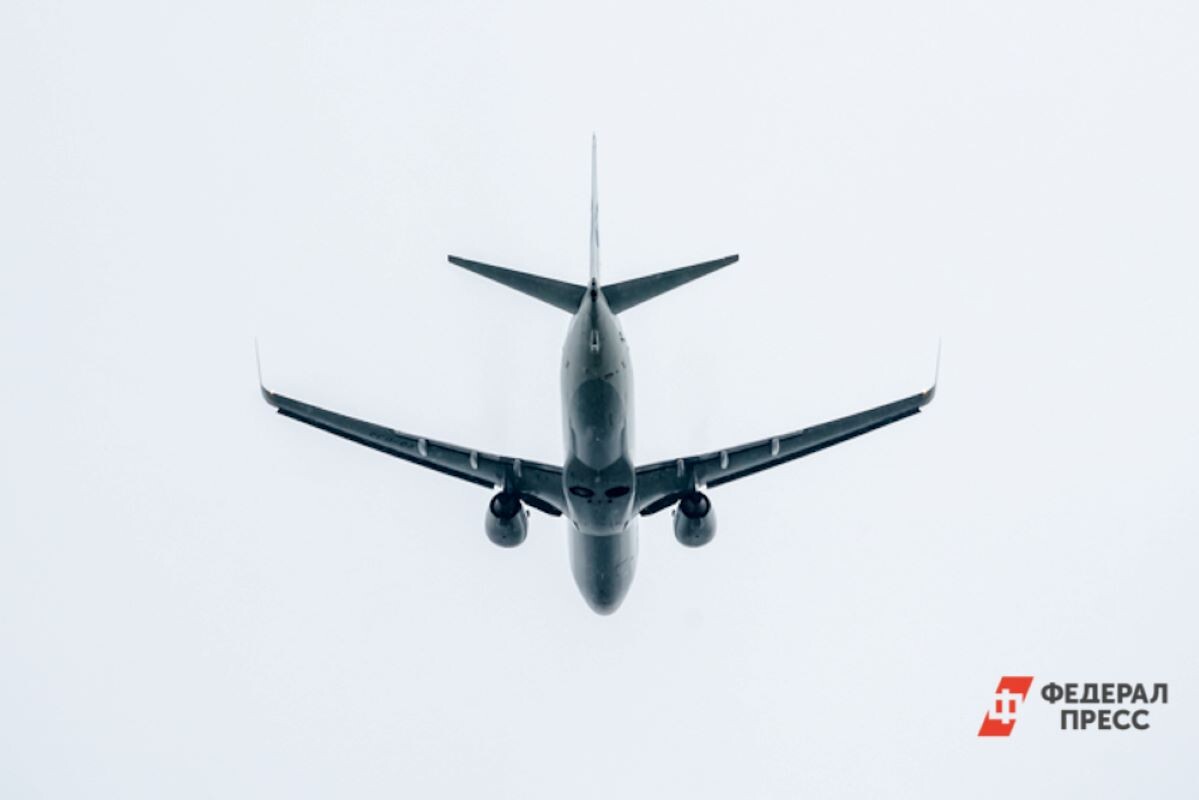 Авиасообщение с Турцией и Египтом осуществляется по расписанию.  Фото: ФедералПресс / Полина Петренко
