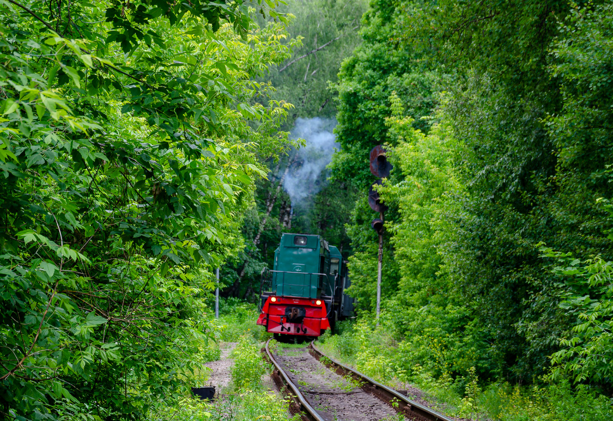 Тепловоз ТГМ6А-1434 тащит вагоны на станцию Заводская. Сделано 12.06.25