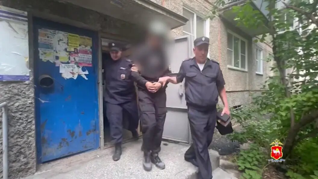    Скриншот видео ГУ МВД по Челябинской области.