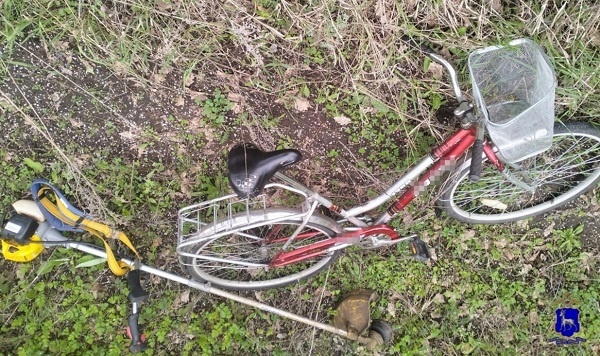    Фото ГУ МВД по Самарской области