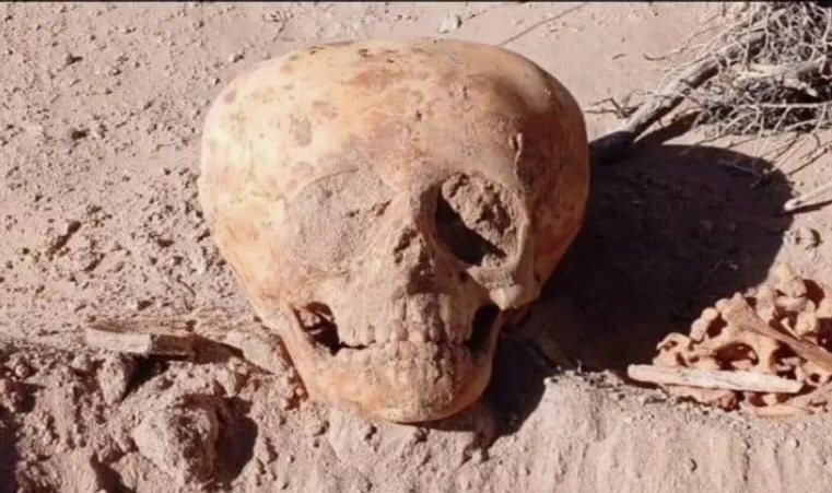 Фото из социальных сетей