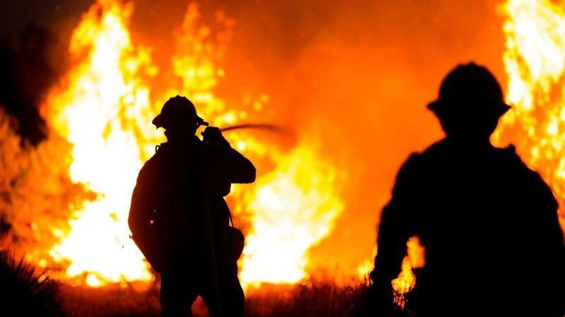    Фото: Ringo Chiu/Shutterstock/Fotodom