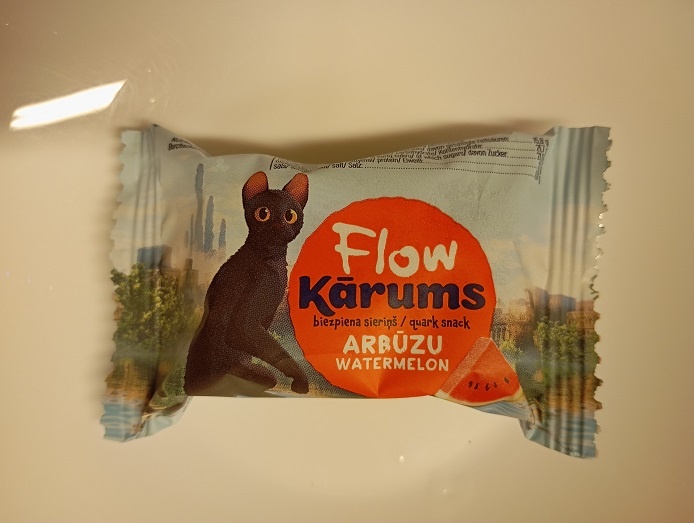 Рига, 13 июня 2025