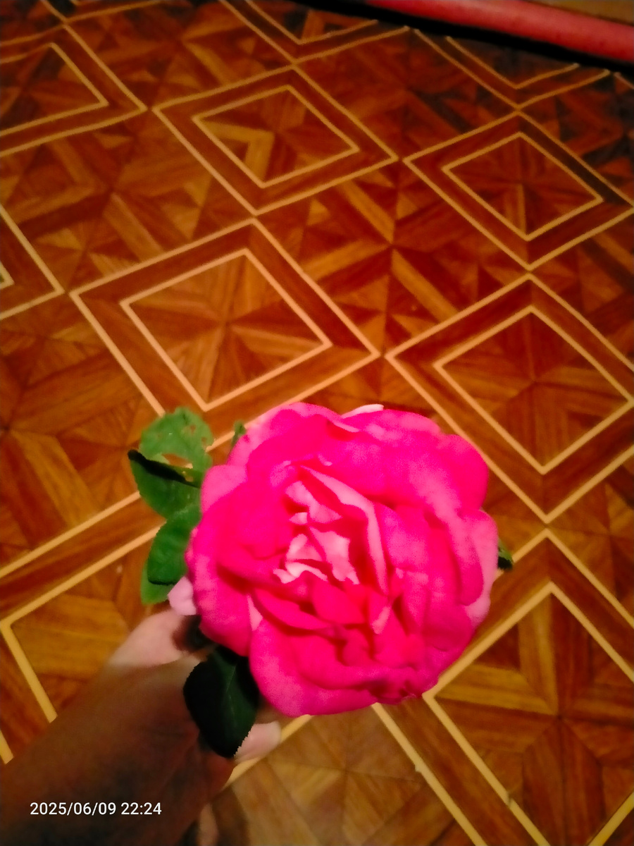 Фотография автора 