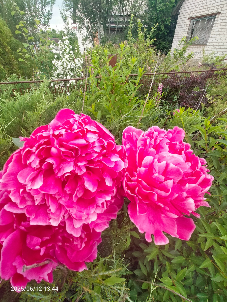 Фотография автора 