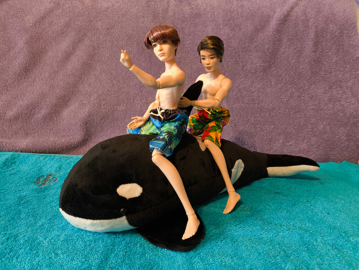 Фотофон из полотенца) 