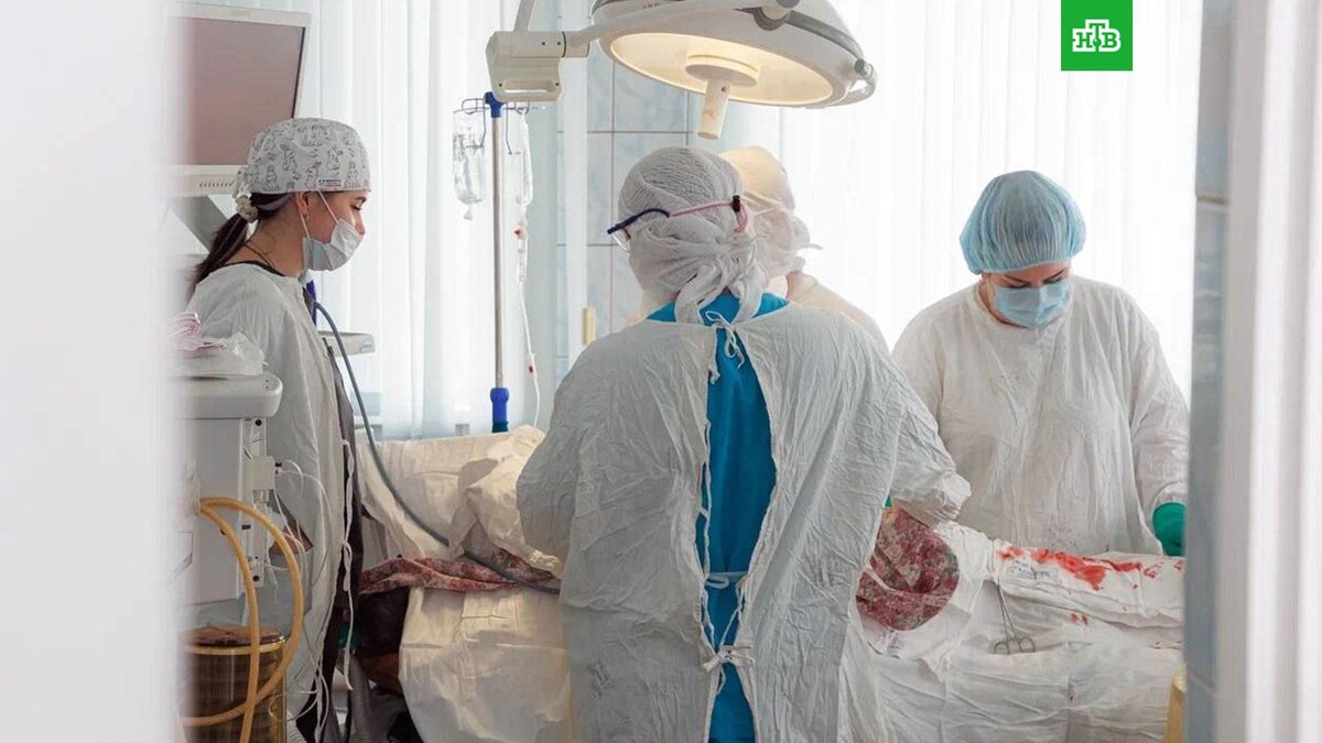    Фото: dmarkelov55 / t.me