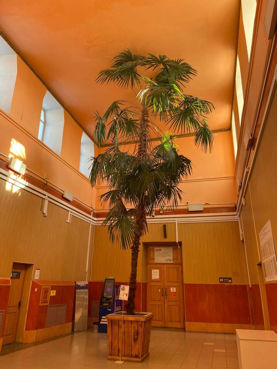 Пальмы на вокзале Кунгура. Фото автора блога Дочь Пелевина Путешествия