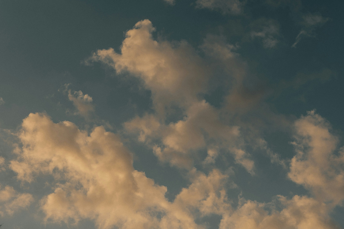 Фото: Unsplashed