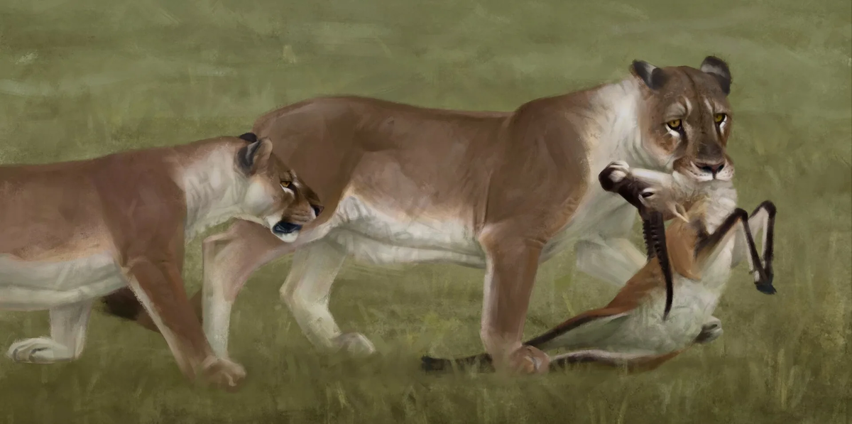 -Дай, ну дай, ну дааааааааай! Поделись!