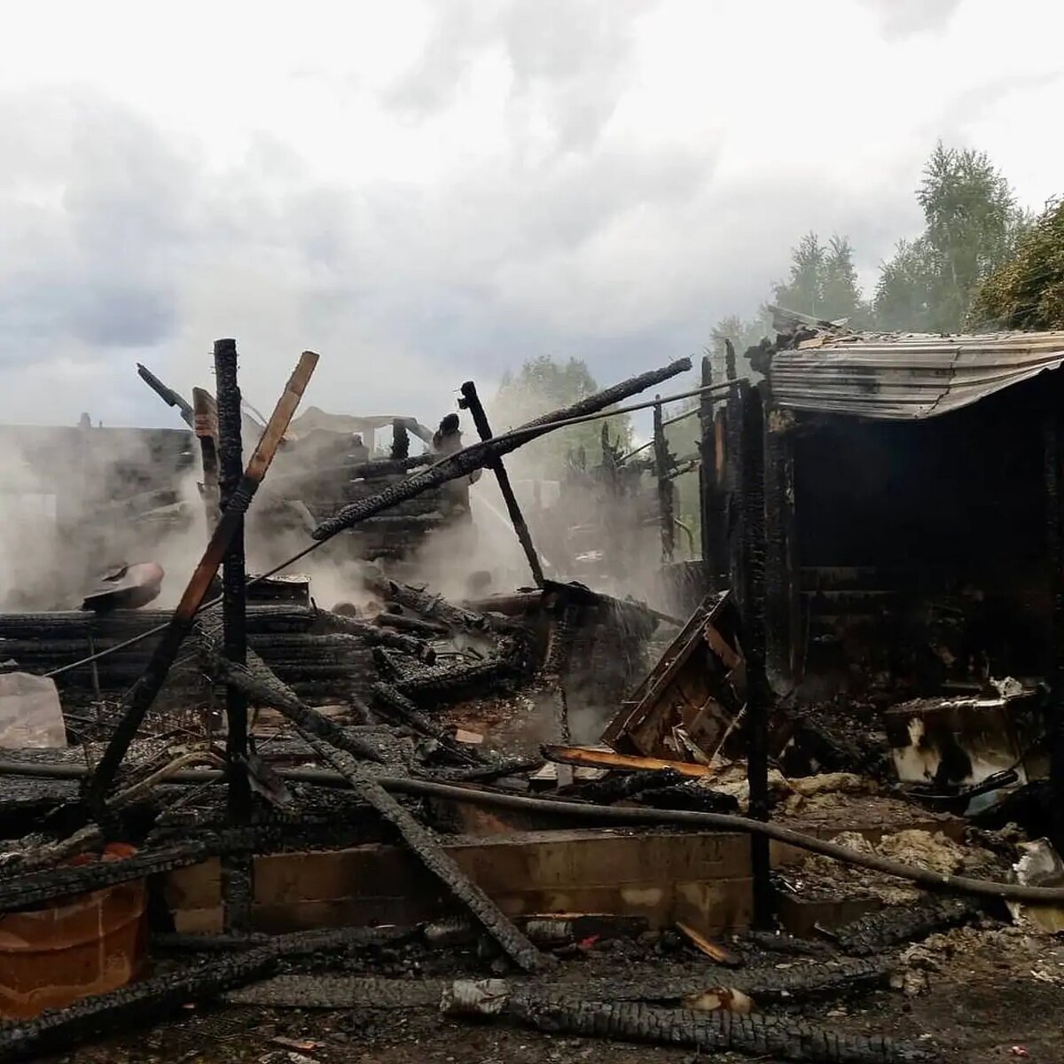 Фото: Telegram-канал ГСУ СК России по Московской области