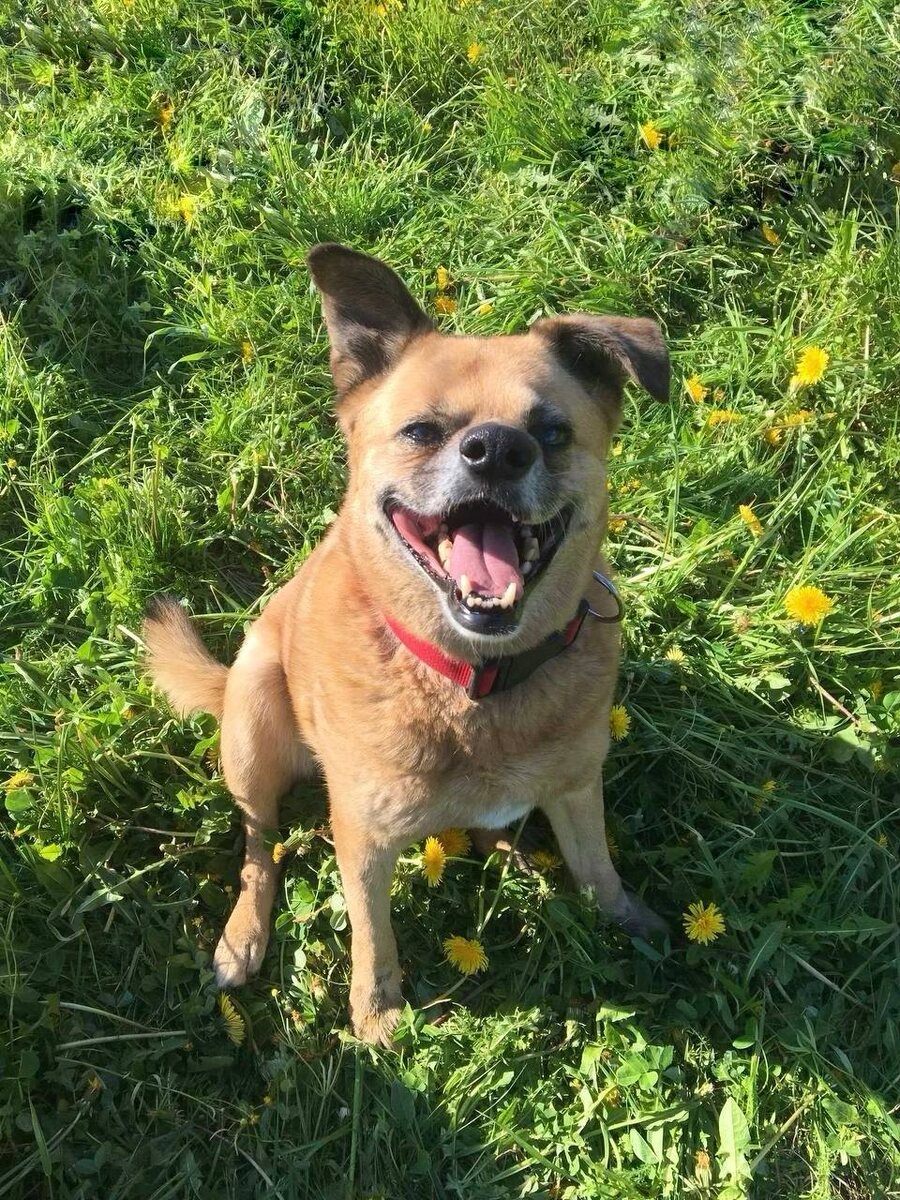 #берегиня_Буся