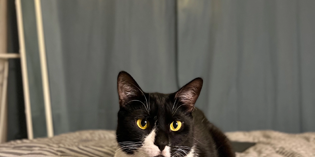 Сложный путь Барика